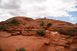 View of the last leg of the trail.  The cairn at the end of the trail can be seen.