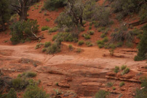 Second Steep Part of Airport Loop Trail