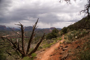 Airport Loop Trail South Side