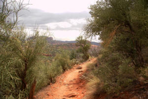 Airport Loop Trail