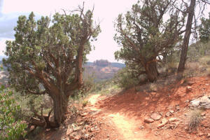 Southern Part of Airport Loop Trail.