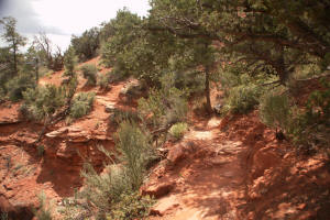 Airport Loop Trail