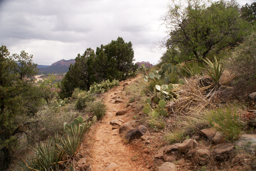 Heading South on Airport Loop Trail - Picture 5