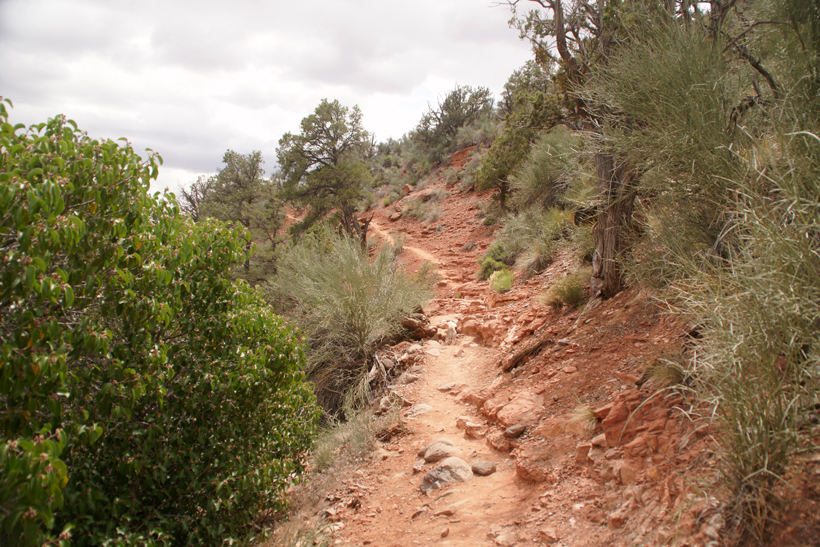 Hiking the South Side of Airport Loop Trail