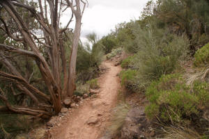 Airport Loop Trail