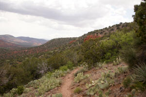 Airport Loop Trail