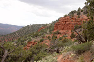 Airport Loop Trail