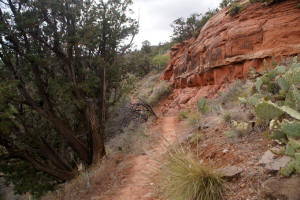 Airport Loop Trail last part of the southern leg