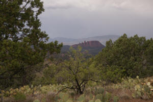 Airport Loop Trail on top of Table Top Mountain