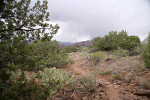 Airport Loop Trail on the top of Table Top Mountain.