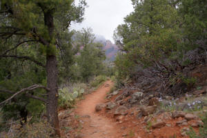 Airport Loop Trail in a semi-wooded area.