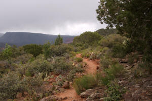 Hiking up Airport Loop Trail