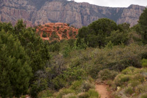 Near end of Airport Loop Trail.
