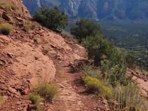 Coconico Loop Trail - Steep Part