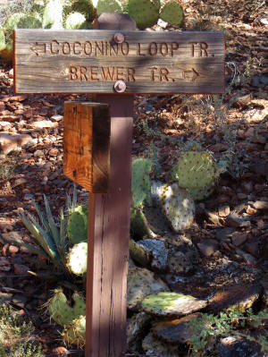 Trail Head - Brewer Trail