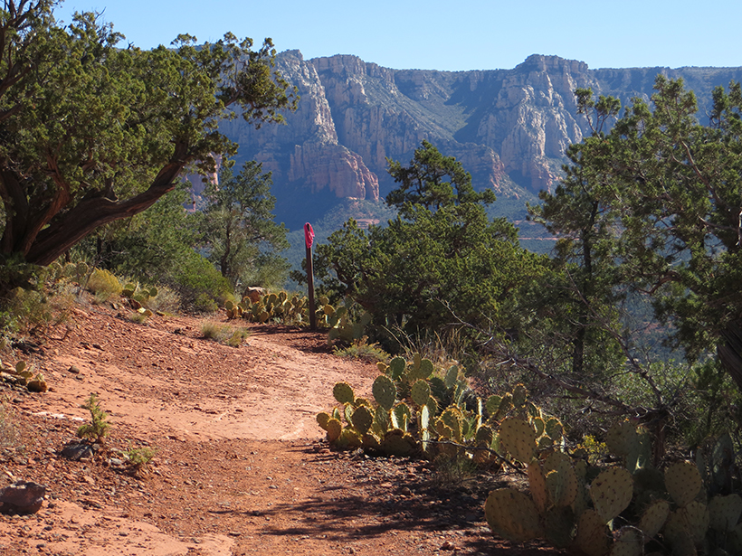 A view to the east down Brewer Trail.