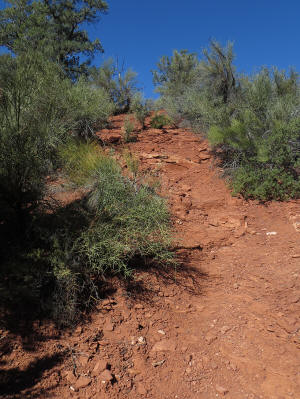 Ascending Coconino Loop Trail