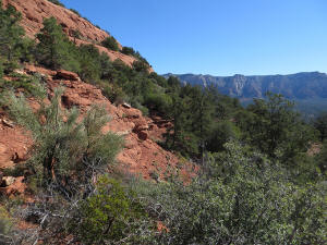 View to the east from the peak of the pass on Coconico Loop Trail.