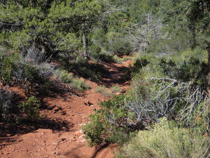 Coconino Loop Trail - Heading Down - 2
