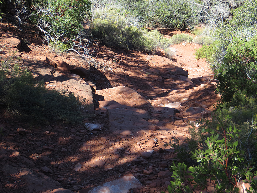 At the bottom, on the north side of Coconino Loop Trail. 