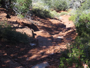 At the bottom, on the north side of Coconino Loop Trail.