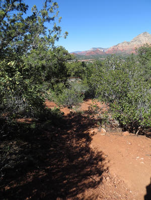 Coconino Loop Trail - Northside -1