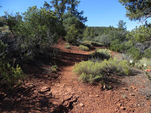 Coconino Loop Trail - Northside - 2
