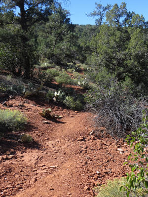Coconino Loop Trail - Northside -3
