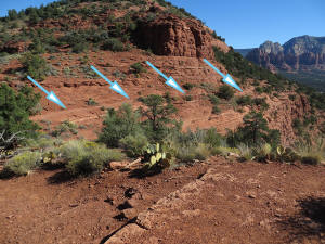 Distant View of the First Part of Coconino Loop Trail.  Note the Steep Drop off 