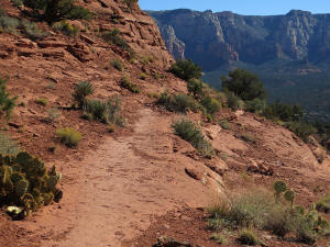 Coconico Loop Trail - Beginning 1
