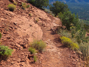 Coconico Loop Trail - Beginning 2