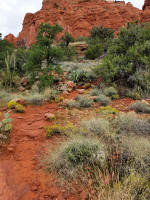 Trail After First Rock Stairway