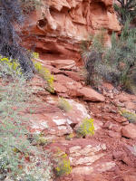The final steps approaching the first rock stairway