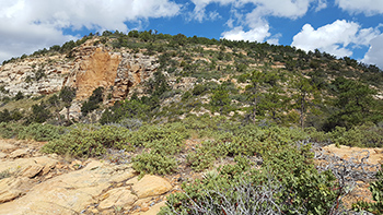 Trail Peak.  Note the read rock on its face.