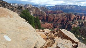 Looking Back Along Trail