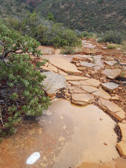 White Trail Marker - Near Trail Peak