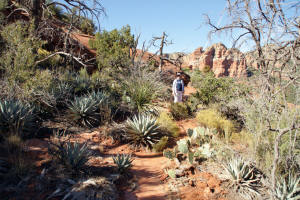 Bell Rock Trail Parkway