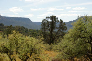 View Southeast