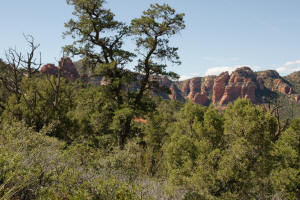 Looking Southwest