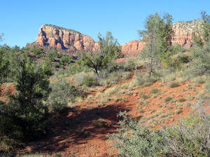 View to the South