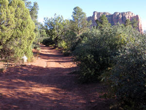View of Courthouse Butte on the Horizon