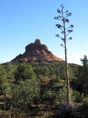 Approaching Bell Rock
