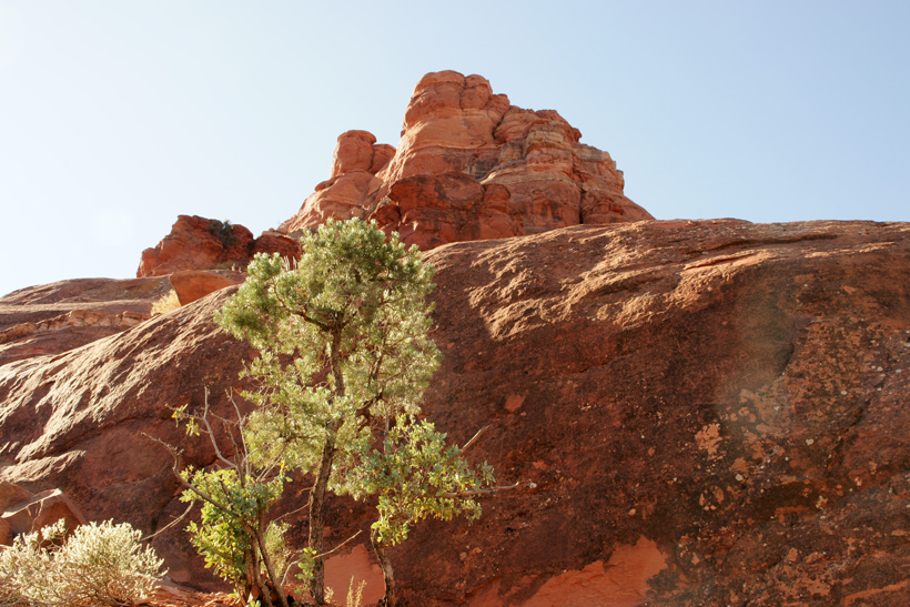 View of the Top of Bell Rock