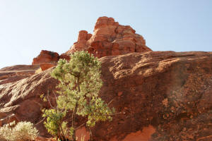 Bell Rock View of Top