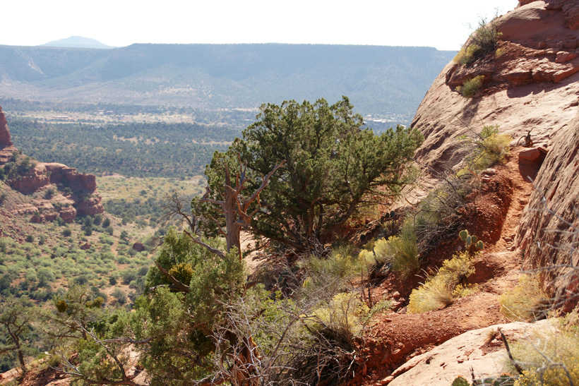 View to the East of the West Face of Courthouse Butte