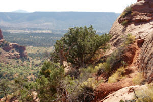 View to the South