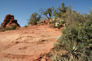 Hiking up to the Saddle of the Vista