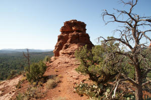 On top of the Saddle looking east.