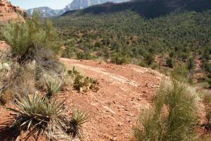 Hiking down Boynton Vista Trail