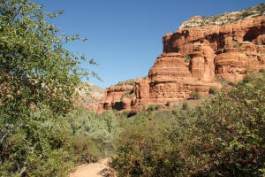Boynton Canyon Trail